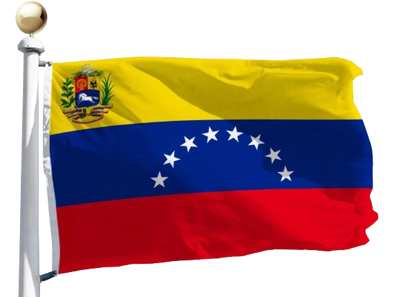 la bandera